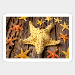 Large Starfish Sticker